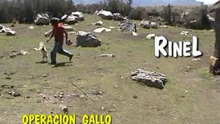 preview picture of video 'OPERACIÓN GALLO'