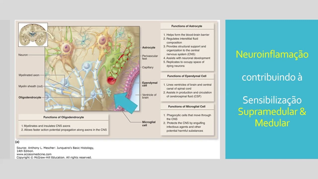 Revisão - CURSO DOR NA APS