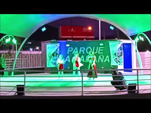 ritmo color y sabor gala 2022 fin de año