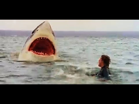 Az utolsó cápa (1981) - Teljes film magyarul