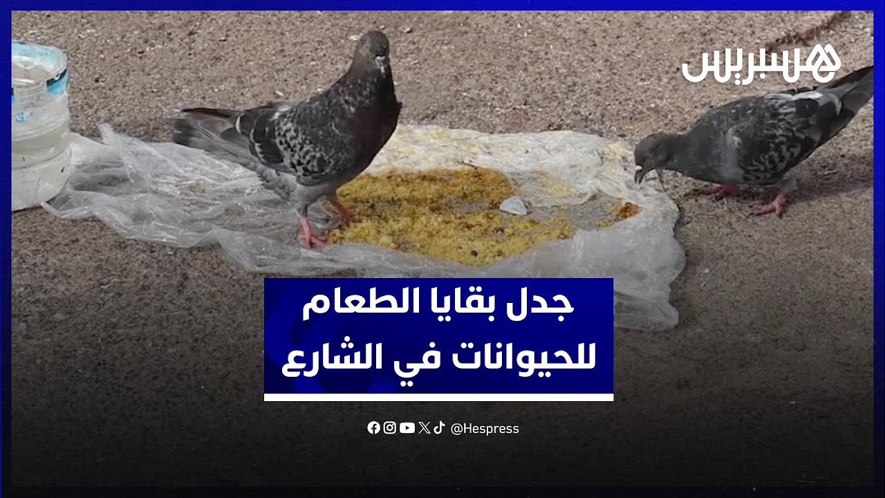 بين نوايا الرحمة وإشكالات النظافة .. وضع بقايا الطعام للحيوانات في الشارع العام يثير الاستنكار thumbnail