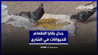 بين نوايا الرحمة وإشكالات النظافة .. وضع بقايا الطعام للحيوانات في الشارع العام يثير الاستنكار thumbnail