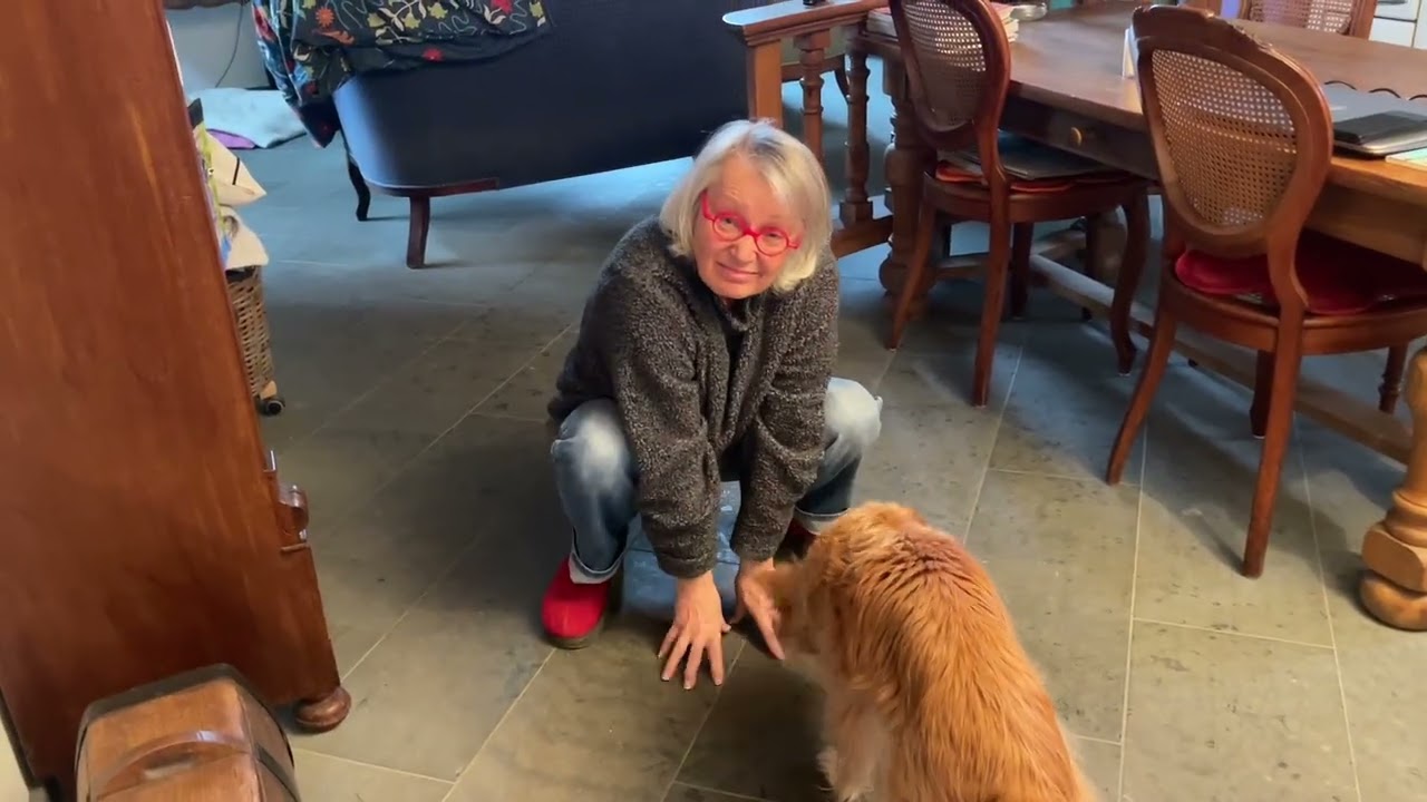 Steinpilze suchen mit dem Hund