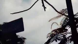 Download lagu TYNE Daz how star do (cover) mp3 Download lagu TYNE Daz how star do (cover) mp3