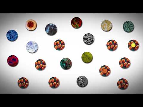 Pasteur and Koch   Secondary History   Medicine Through Time