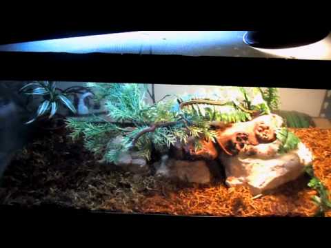 YouTube Video S5tY5tGRvDI