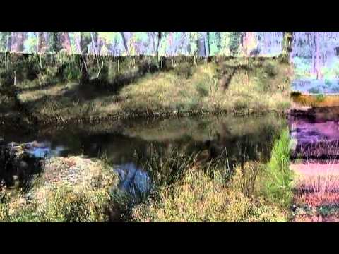 2016-04-18 - IL CENTRO DI SCIENZE NATURALI DI PRATO PASSA DA 18 A 33 ETTARI