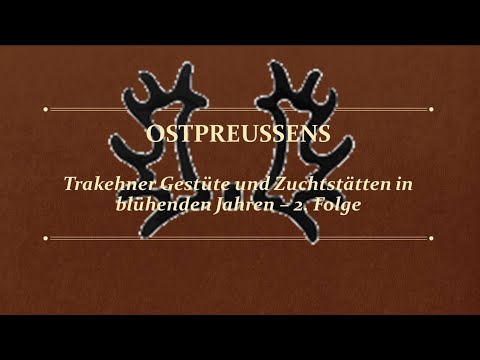 12. Trakehner Kamingespräch