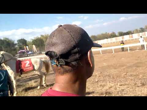 pacuan kuda di klorogan geger Madiun Jawa timur