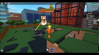 Mad Games: Cat Attack gameplay