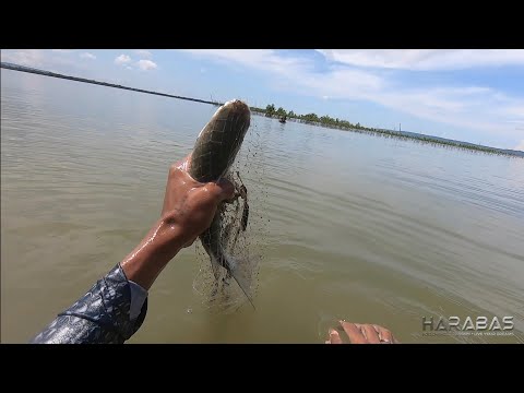 EP709-P1 - Halo Halong Seafoods Catch and Cook | Occ. Mindoro