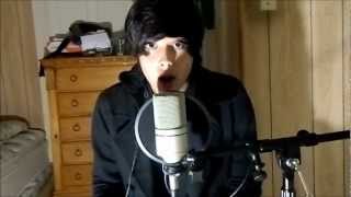 Sleeping With Sirens- Roger Rabbit (Cover)