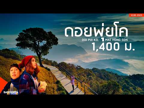 ดอยพุ่ยโค