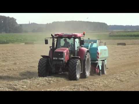 Loonw  Mestdag   Gallaix