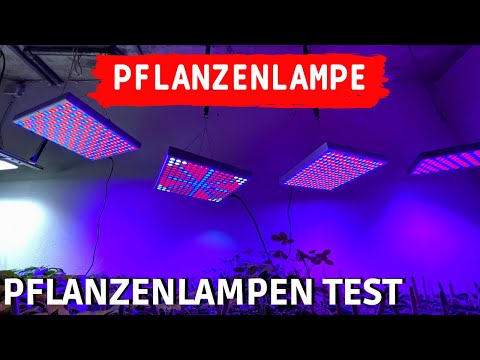 , title : 'TEST: Profi LED Pflanzenlampe vs. billiges Amazon Grow Light - LED Pflanzenlichter Vergleich'