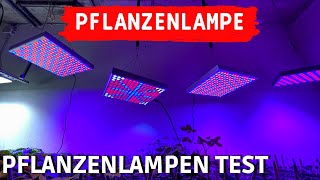 TEST: Profi LED Pflanzenlampe vs. billiges Amazon Grow Light - LED Pflanzenlichter Vergleich