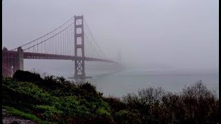 Mickey Newbury Lyrics- The Thirty Third of August