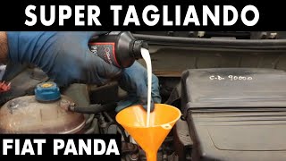 TAGLIANDO FIAT PANDA 169  1.2 Benzina LAVAGGIO MOTORE E ANTI ATTRITO SINTOFLON