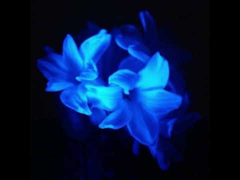 automotivo baile favela intergalaxia v2 (slowed and reverb) - Dj Penglin