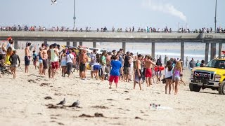 The World in 2017: Prophecy Has Begun! (SHOCKING EVENTS)