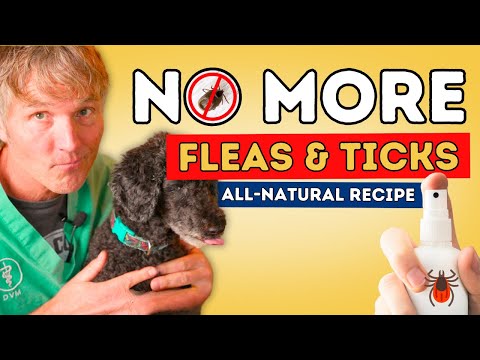 Best Ever Natural Flea and Tick Spray for Dogs and Cats