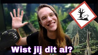 5+1 AQUARIUM Lessen die ik EERDER had willen LEREN! //Nickey//