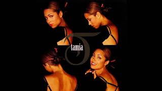 Tamia - Never Gonna Let You Go (Album Instrumental)