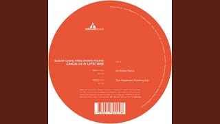 Once in a Lifetime (Thor Pedderson Pulsating Dub)