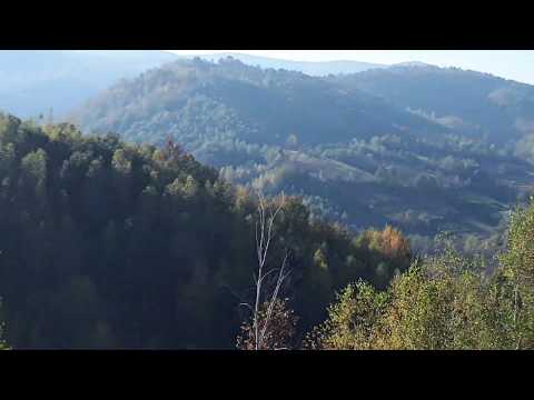 Farasesti  sat - comuna Pietroasa Timis