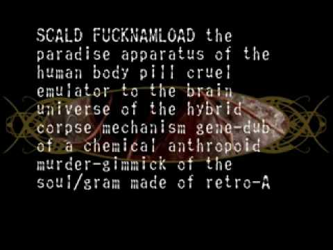 SCALD - Vermiculatus