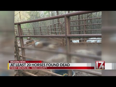 21 dead horses found on Wake County property