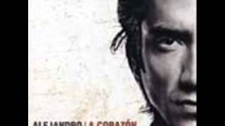 alejandro fernandez lo que pudo ser.wmv