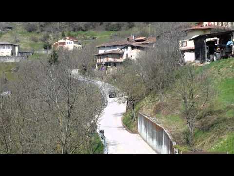 rally 1000 miglia 2014