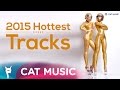 2015 Hottest Tracks (1hour mix) 