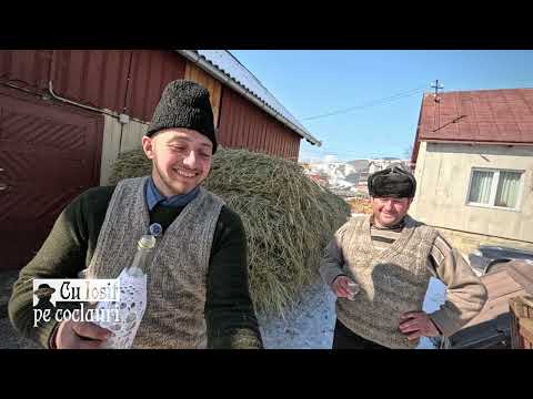 📍 Cel mai tânăr crescător de boi din Bucovina: BOGDAN CĂLINESCU (23 de ani) din VAMA, jud. SUCEAVA 🆕