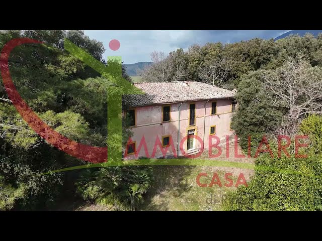 il Bosco del Barone dall'alto