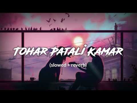 TOHAR PATALI KAMAR (slowed + reverb) | PRCBS LOFI |
