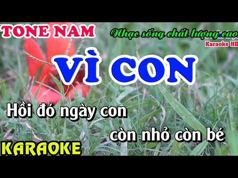 Vì Con- Karaoke tone nam hạ tone dễ hát mới nhất 2023- Tuấn Đạt Organ