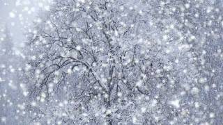 Tree - "Snow Float"