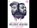 The Primeridian & Tall Black Guy - Melodic Healing