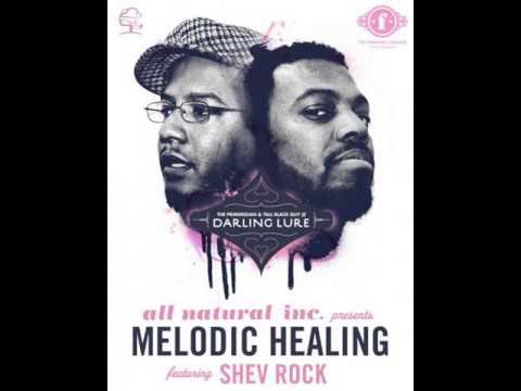 The Primeridian & Tall Black Guy - Melodic Healing