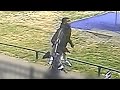 Tilburg: Man (42) neergeschoten voor ogen van zoontje