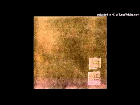 Tse Tse Fly - Bus Window