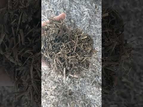 Bhringraj - Eclipta Alba - Bhringa, Packaging Size: 30 Kg, Packaging Type: Polythene Bag