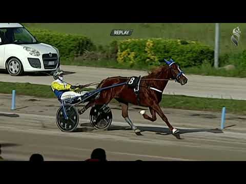 Aversa trotto 8 Aprile 2023 - 6° Corsa