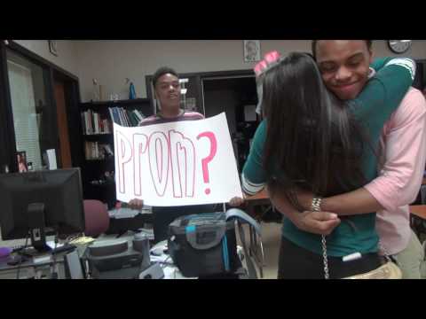 Cat Prom Proposal