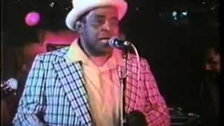 Willie Dixon with Billy Branch - Little Red Rooster 1982