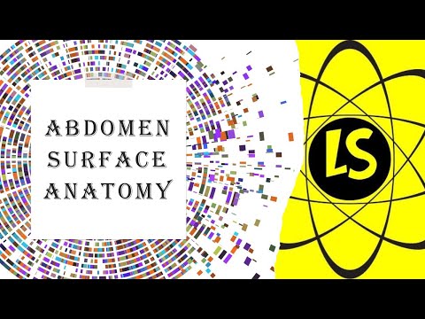 Surface Anatomy: Abdomen