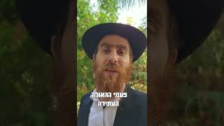 פיצוי כספי או חומרי אינו מספיק!רוצים נחמה שלימה! דבר תורה לפרשת ואתחנן - נחמו עם הרב יחיאל גלוכובסקי (הרב יחיאל גלוכובסקי) - התמונה מוצגת ישירות מתוך אתר האינטרנט יוטיוב. זכויות היוצרים בתמונה שייכות ליוצרה. קישור קרדיט למקור התוכן נמצא בתוך דף הסרטון