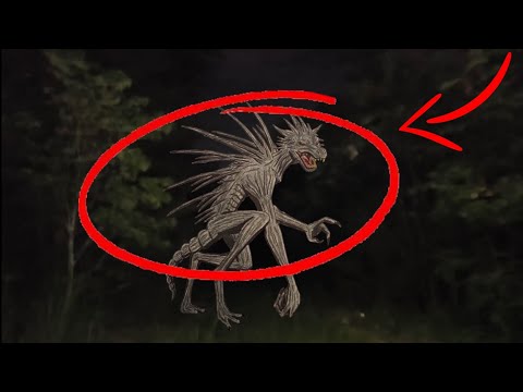 was that a CHUPACABRA?!??!??! CAUGHT ON CAMERA!!!!!!! 😱😱💀😱😱💀😱😱💀😱😱😱😱